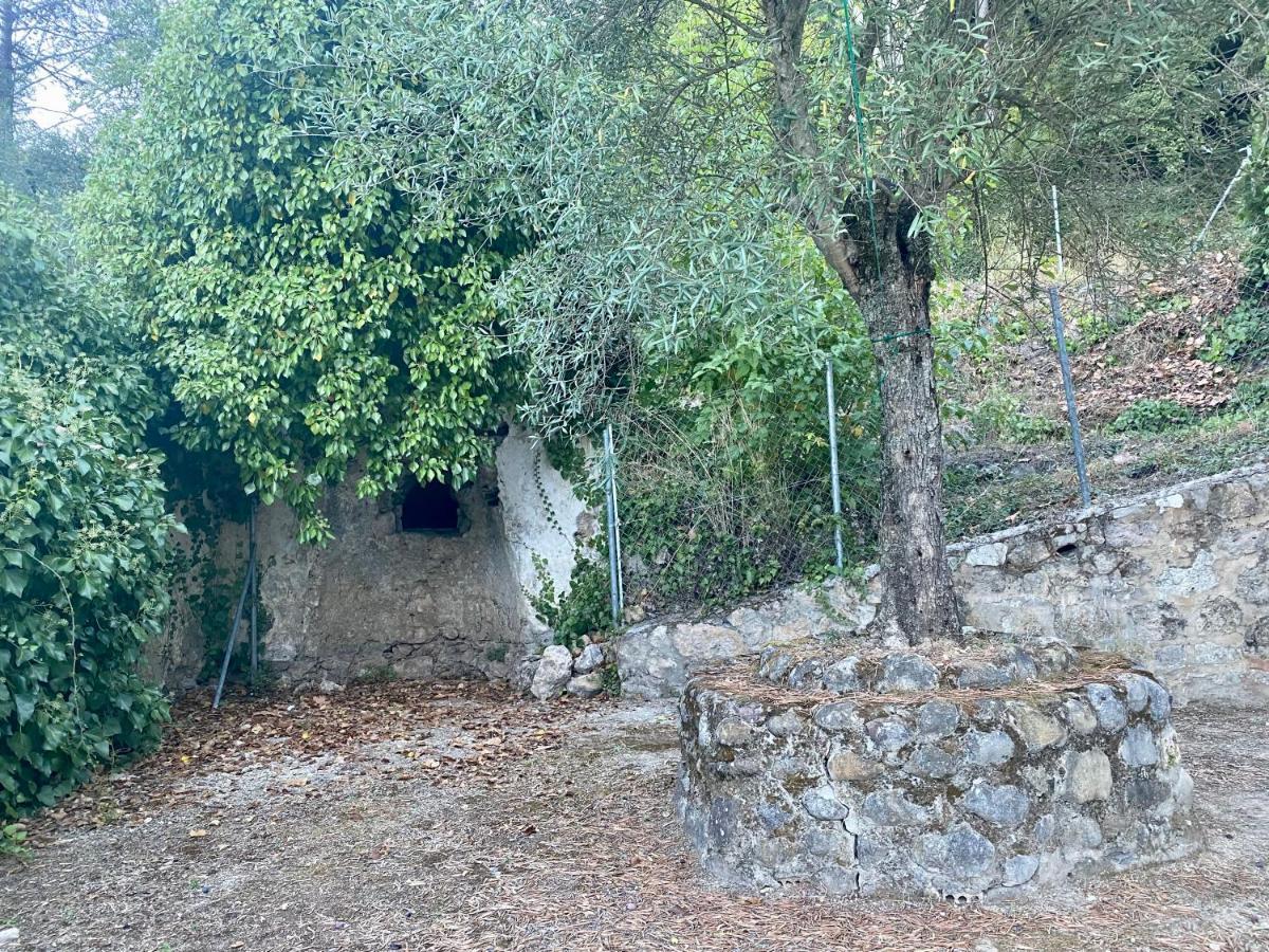 Stay Wild En Las Casitas De Huerta Arriba Benamahoma Exteriér fotografie